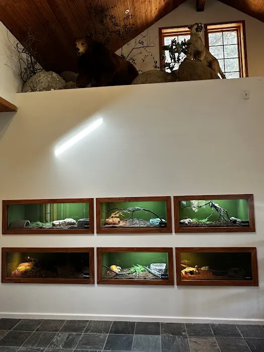 Fish By Design Picture 4