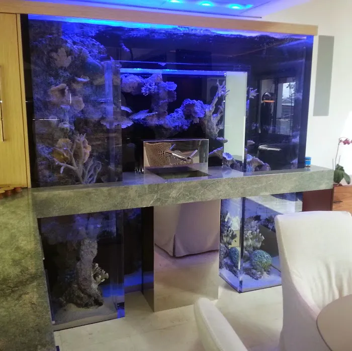 Fish By Design Picture 5