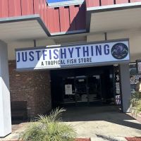Justfishything ico