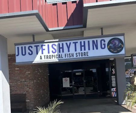 Justfishything