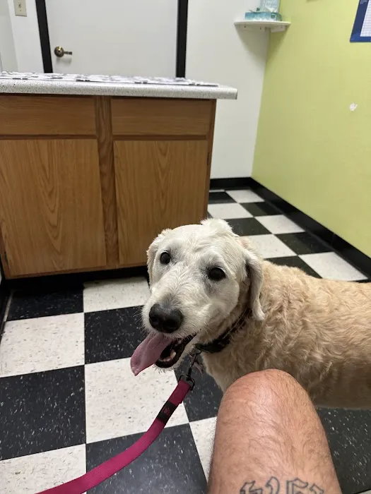 North Ranch Animal Hospital (Kierland Animal Clinic) Picture 2
