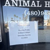 North Ranch Animal Hospital (Kierland Animal Clinic) ico