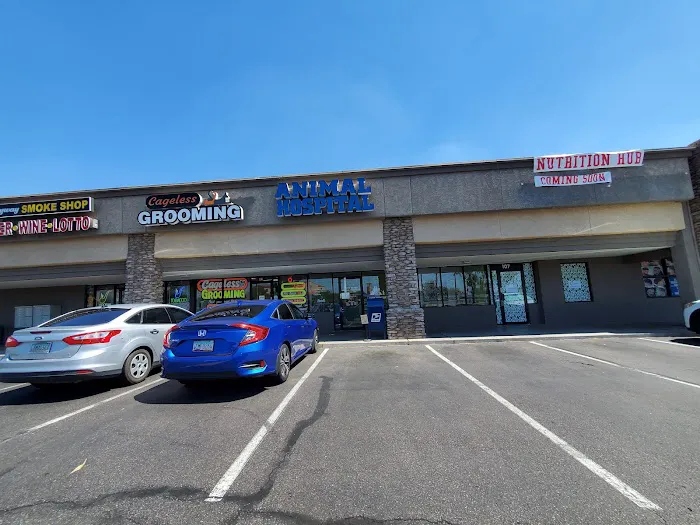 North Ranch Animal Hospital (Kierland Animal Clinic) Picture 10