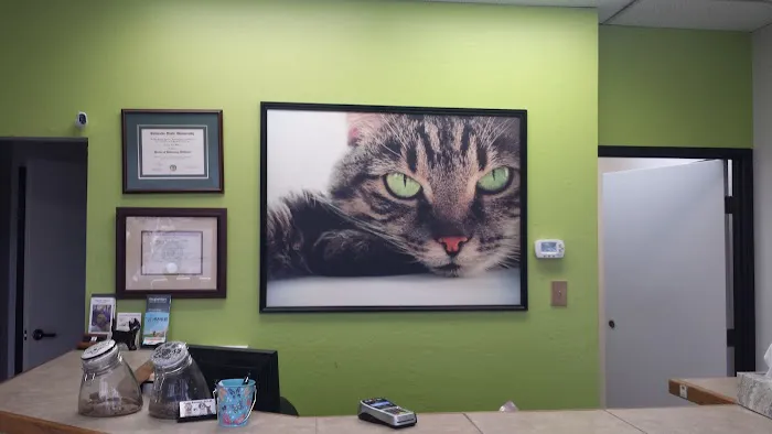 North Ranch Animal Hospital (Kierland Animal Clinic) Picture 7