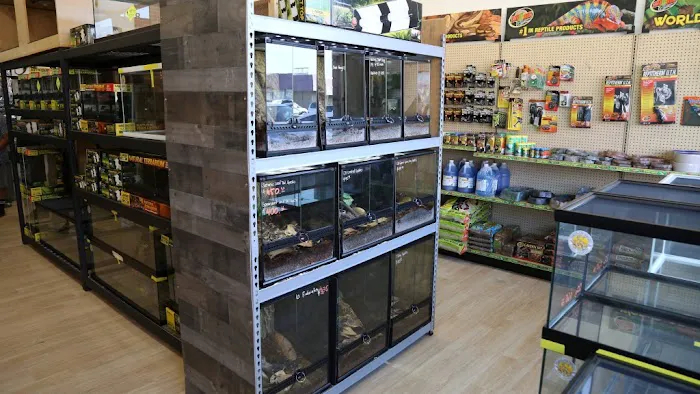 REPTILE FACTORY Picture 8