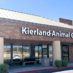 Kierland Animal Clinic