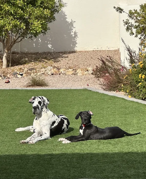 Kierland Animal Clinic Picture 3