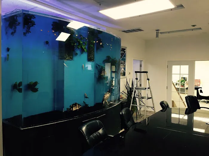 Acrylic Pros Aquarium Design & Restoration Picture 6