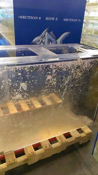 Acrylic Pros Aquarium Design & Restoration Picture 5