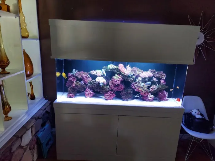 Acrylic Pros Aquarium Design & Restoration Picture 4