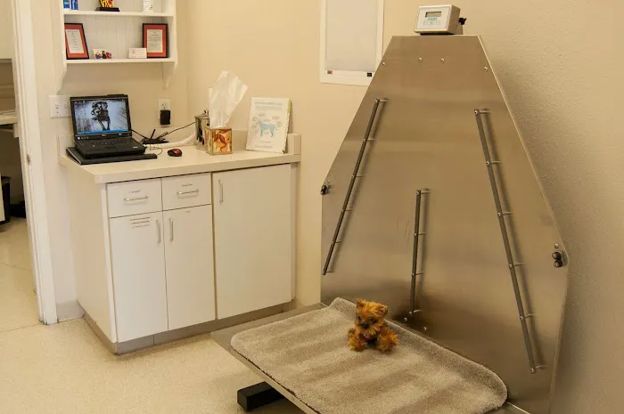 Animal Clinic Del Rancho Picture 3
