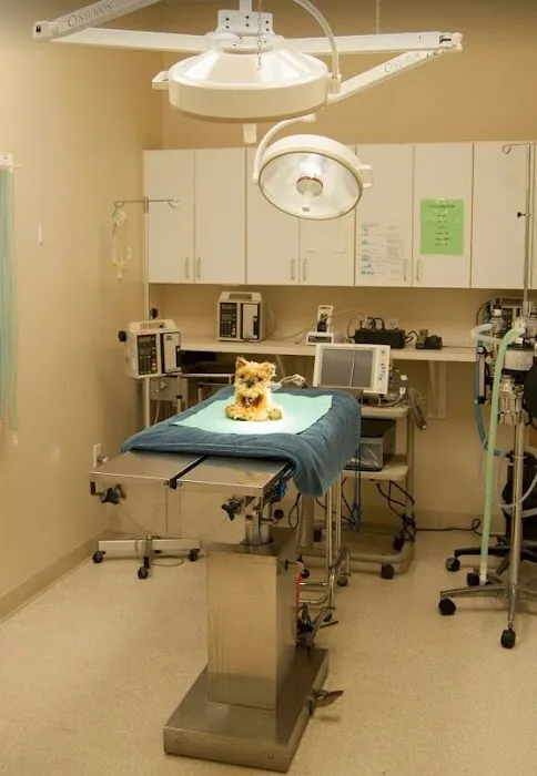 Animal Clinic Del Rancho Picture 5