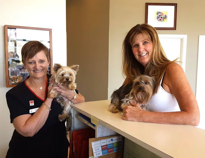 Animal Clinic Del Rancho Picture 6