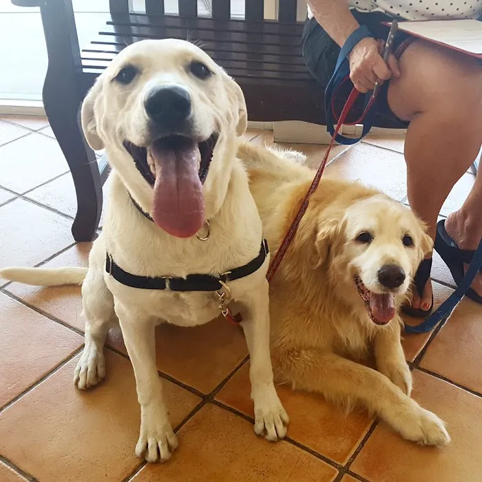 Animal Clinic Del Rancho Picture 7