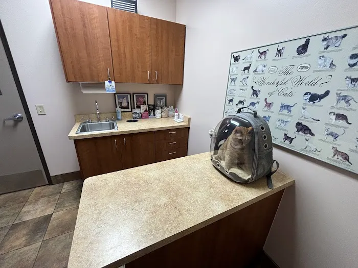 KC Animal Hospital & Pet Resort Picture 1