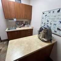 KC Animal Hospital & Pet Resort ico