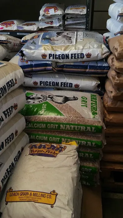 Jedds Bird Supplies Picture 3