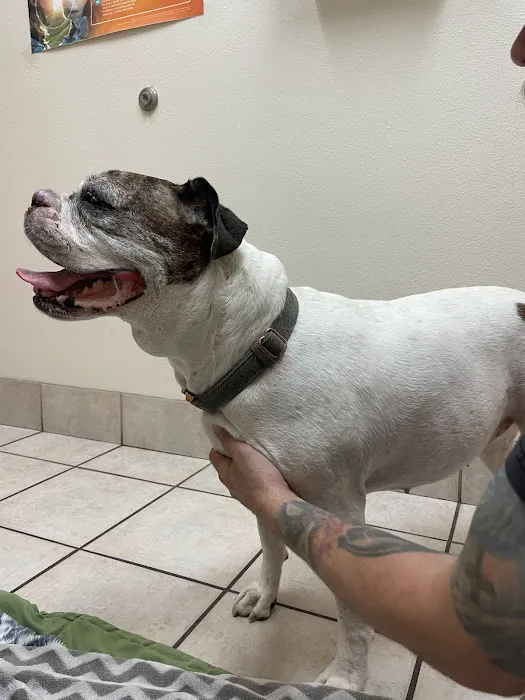 Pet Life Veterinary Clinic Paradise Valley Picture 2