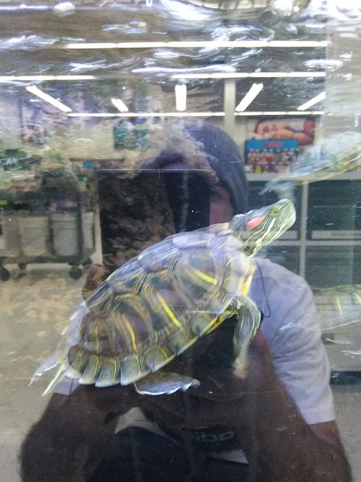 Petco Picture 1