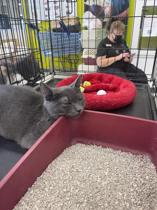 Petco Picture 3
