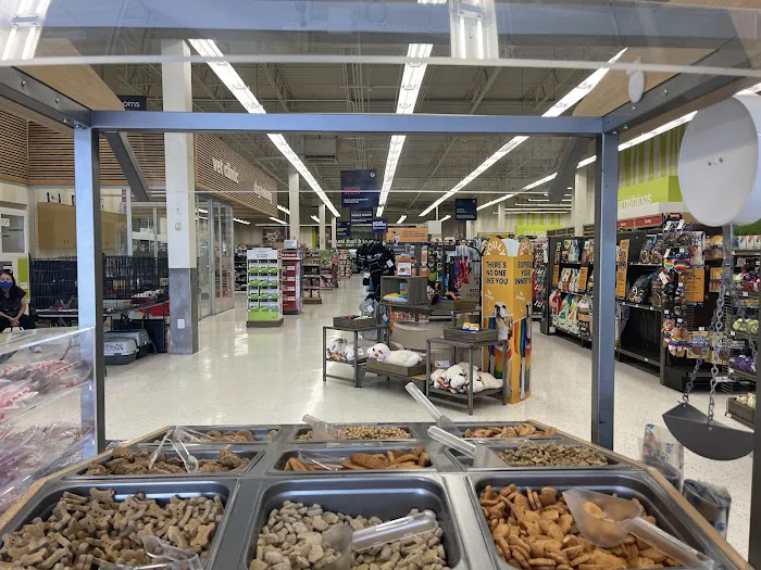 Petco Picture 10