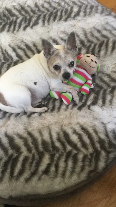 Petco Picture 9