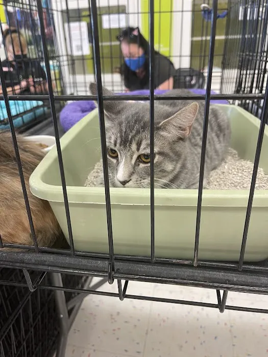 Petco Picture 6