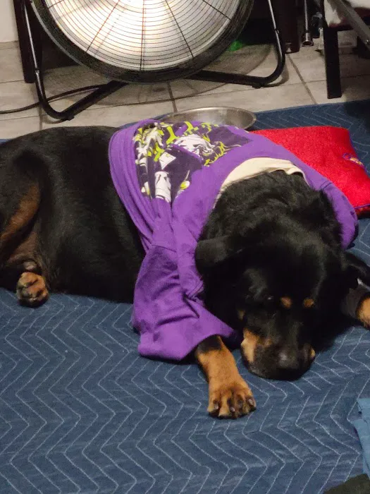 Banfield Pet Hospital Picture 5