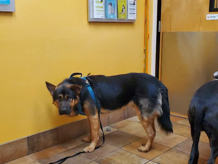 Banfield Pet Hospital Picture 2