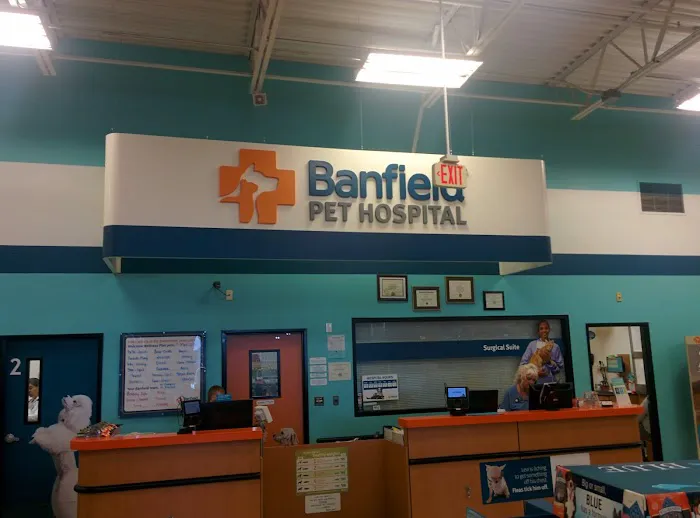 Banfield Pet Hospital Picture 6