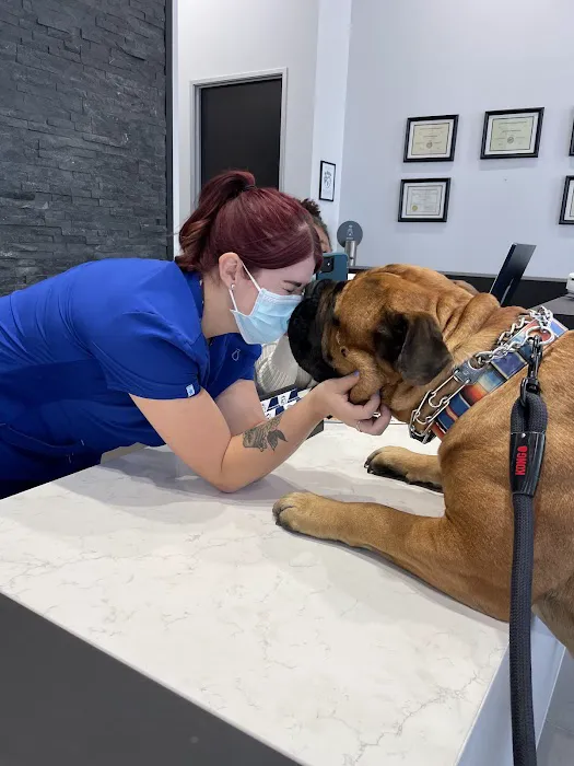 Desert Ridge Animal Hospital Picture 6