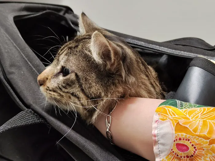 Desert Ridge Animal Hospital Picture 7