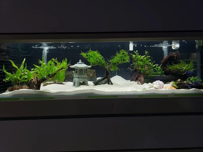 7 Seas Tropical Fish Picture 1