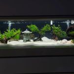 7 Seas Tropical Fish