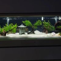 7 Seas Tropical Fish ico