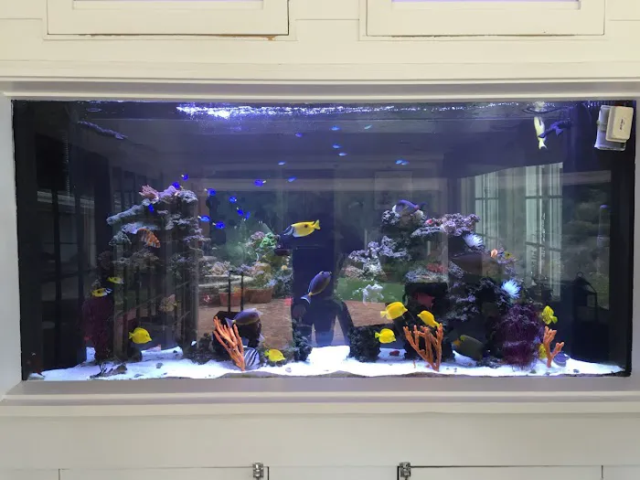 7 Seas Tropical Fish Picture 5