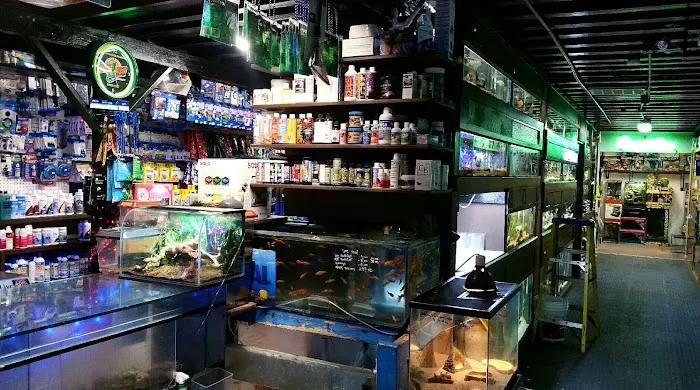7 Seas Tropical Fish Picture 7