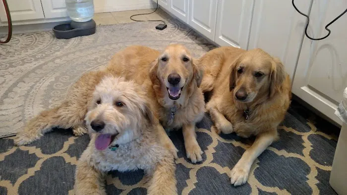 Banfield Pet Hospital Picture 7