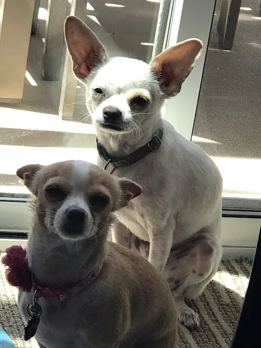 Banfield Pet Hospital Picture 8