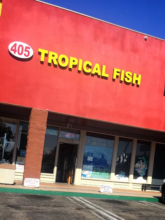 405 Tropical Fish Picture 5