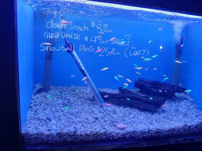405 Tropical Fish Picture 4