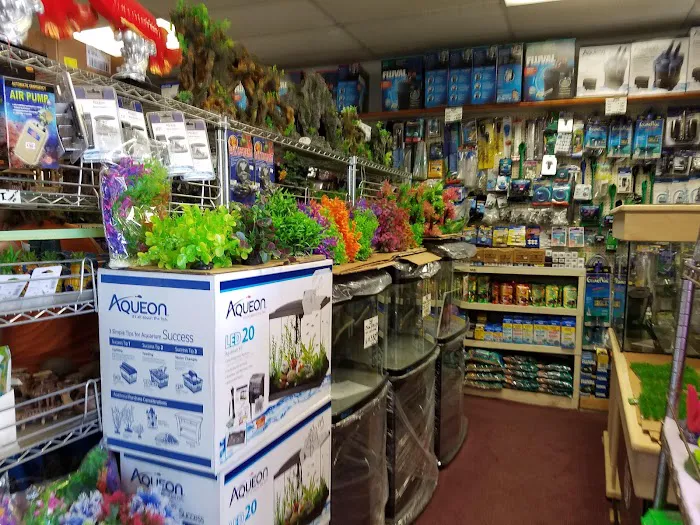 405 Tropical Fish Picture 2