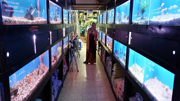 405 Tropical Fish Picture 10