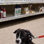 Banfield Pet Hospital