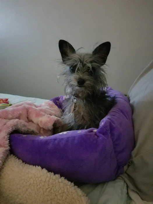 Banfield Pet Hospital Picture 5