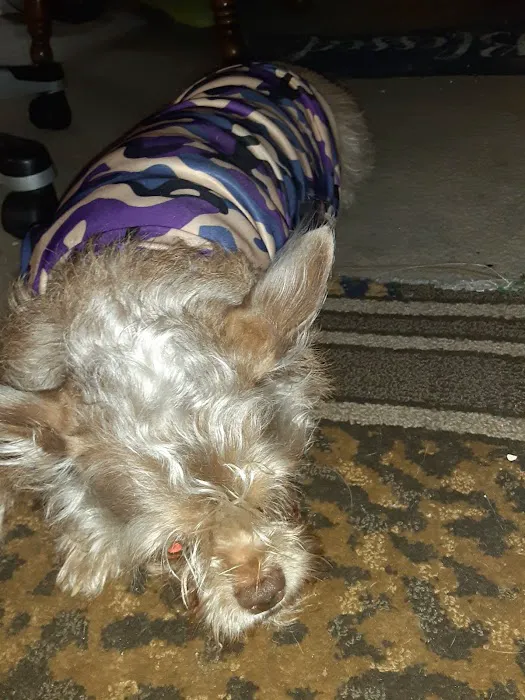 Banfield Pet Hospital Picture 9