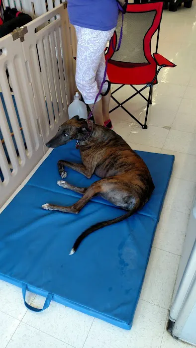 Petco Picture 10