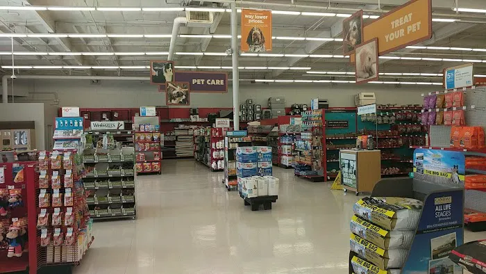 Petco Picture 7
