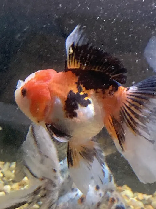Fish Warehouse Picture 5