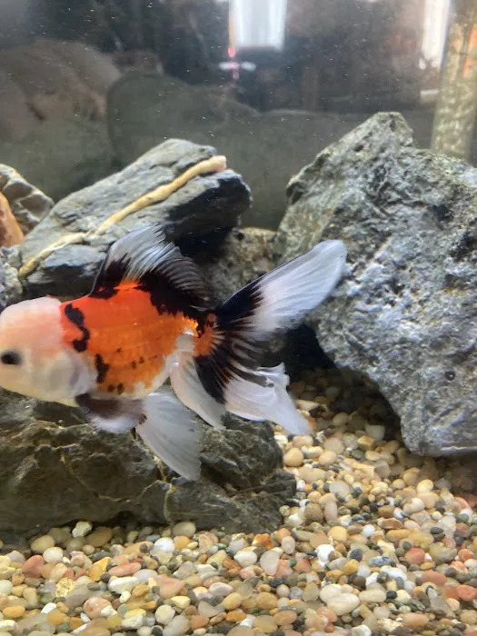 Fish Warehouse Picture 3